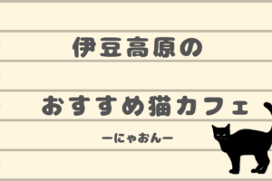 伊豆高原の猫カフェ「にゃおん」